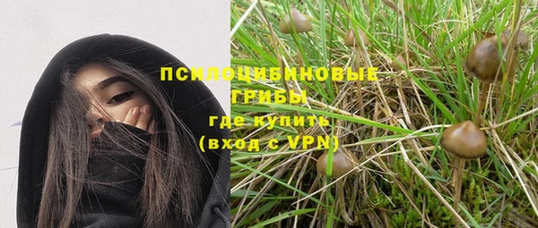 дживик Магадан