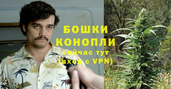 ECSTASY Майский