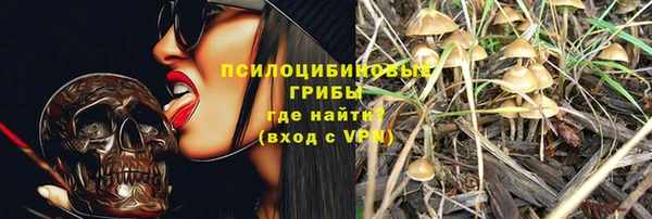 дживик Магадан