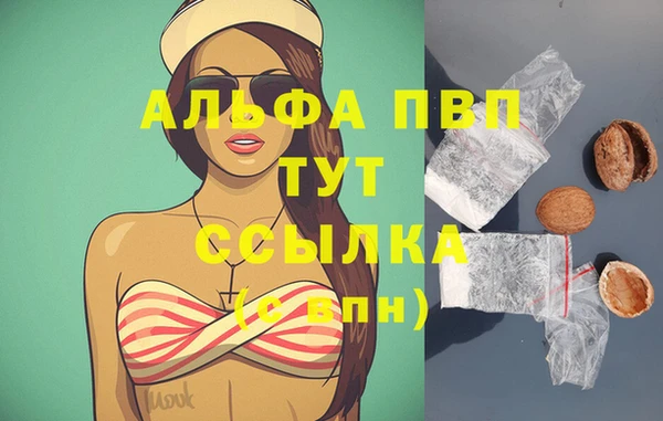 ECSTASY Майский
