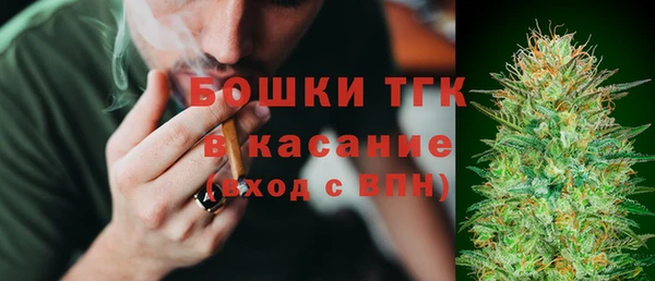 ECSTASY Майский