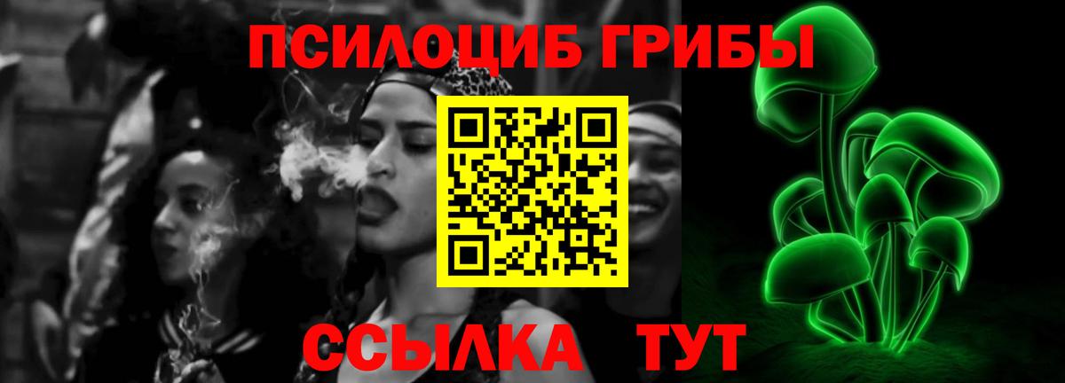 Псилоцибиновые грибы Psilocybe  закладка  Севастополь 