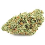 Шишки OG Kush  (Гидропоника, бошки) VHQ в Севастополе